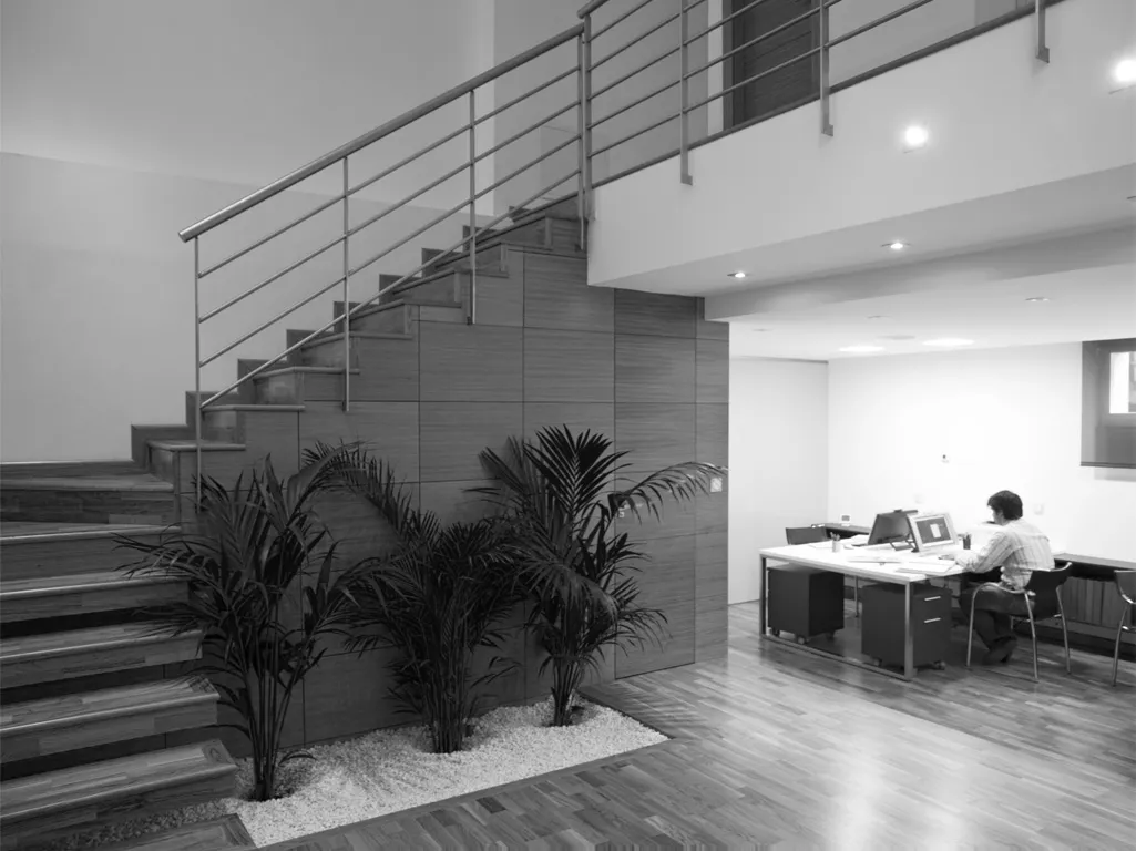 Estudio 07